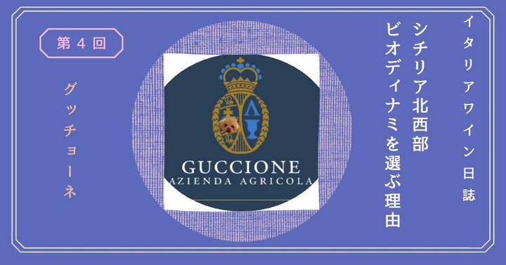 Guccione1_2