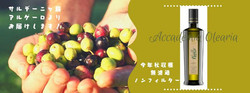 Olio