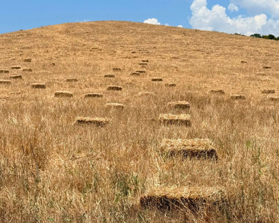 Progetto_senza_titolo_4